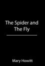 The Spider and the Fly