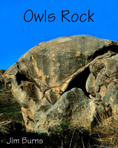 Owls Rock