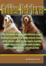 Golden Retriever: With This Ultimate Guide on Golden Retrievers you get information on bedding, older golden retrievers, breeding golden retrievers, golden retriever puppies, reputable breeders, characteristics, common health problems, grooming golden ret