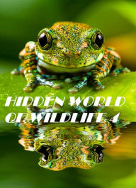 Animals: Hidden World of Wildlife 4 ( spiders , tarantula , sea, creature, sea world, underwater world, horse, wild, forest, beast, animals, elephant, photo, fish, wildlife, ocean, shark, octopus )