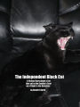 The Independent Black Cat