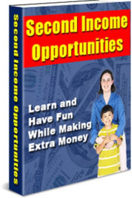 Second Income Opportunities: Learn and Have Fun While Making Extra Money