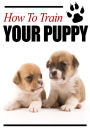 How To Train Your Puppy