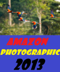 Photography: Amazon Photographic 2013