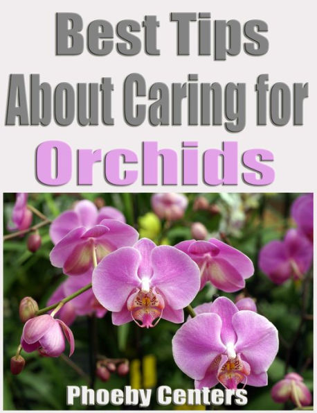 Best TIps on Caring for Orchids