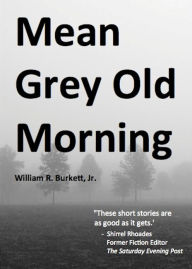 Title: Mean Grey Old Morning, Author: William R. Burkett Jr.