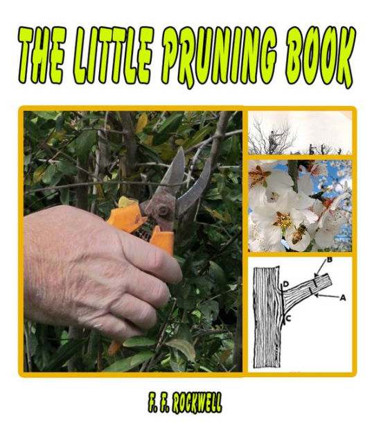 The Little Pruning Book by F. F. ROCKWELL NOOK Book (eBook) Barnes