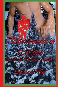 Snowbound in Maine : An Erotic Christmas Romance