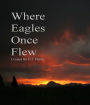Where Eagles Once Flew
