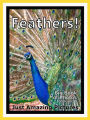 Just Feather Photos! Big Book of Photographs & Pictures of Feathers, Vol. 1