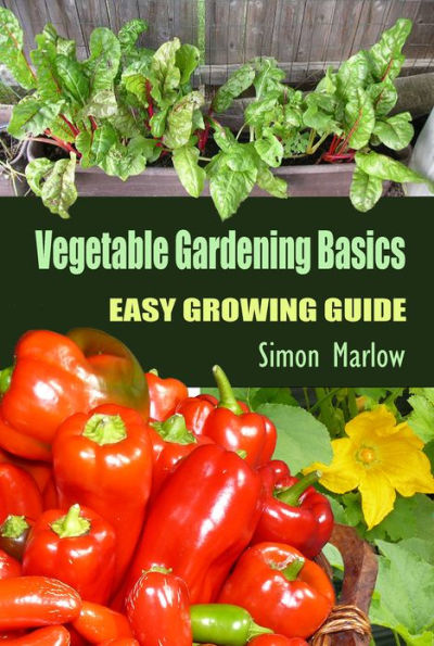 Vegetable Gardening Basics: Easy Growing Guide