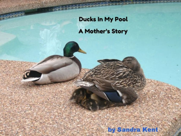 Ducks In My Pool