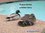 Ducks In My Pool