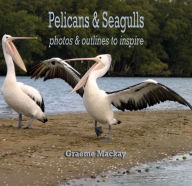 Title: Pelicans & Seagulls: Photos & outlines to inspire, Author: Graeme Mackay