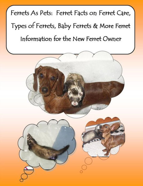 Ferrets As Pets: Ferret Facts on Ferret Care, Types of Ferrets, Baby Ferrets & More Ferret Information for the New Ferret Owner