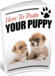 Title: Dog Lover eBook on How To Train Your Puppy - Puppy Housebreaking Step By Step Guide..., Author: Self Improvement
