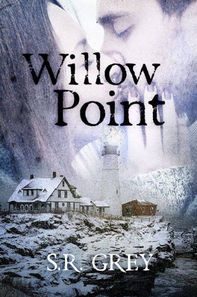 Willow Point: A Harbour Falls Mystery #2