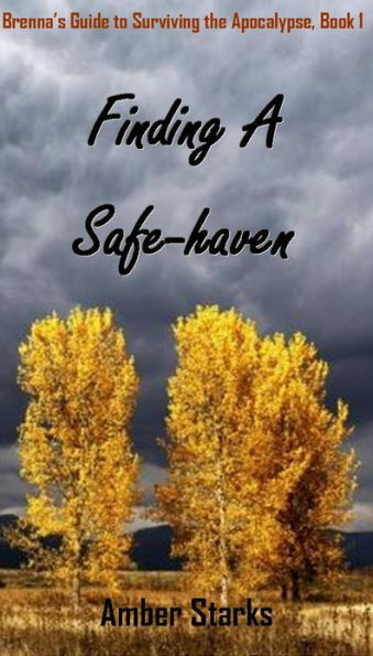 Finding A Safe-haven