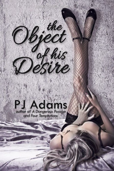 The Object of His Desire (erotic romance suspense)