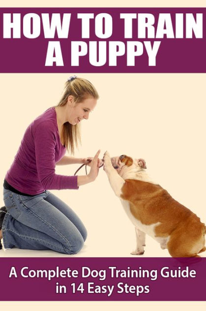 How To Train A Puppy   A Complete Dog Training Guide In 14 Easy Steps