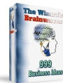 The Wizard's Brainwaves: 999 Business Ideas