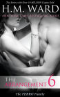 The Arrangement 6 (The Ferro Family)