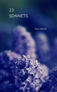 23 Sonnets