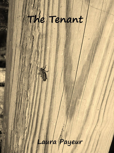 The Tenant