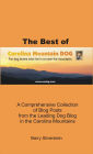 The Best of Carolina Mountain Dog