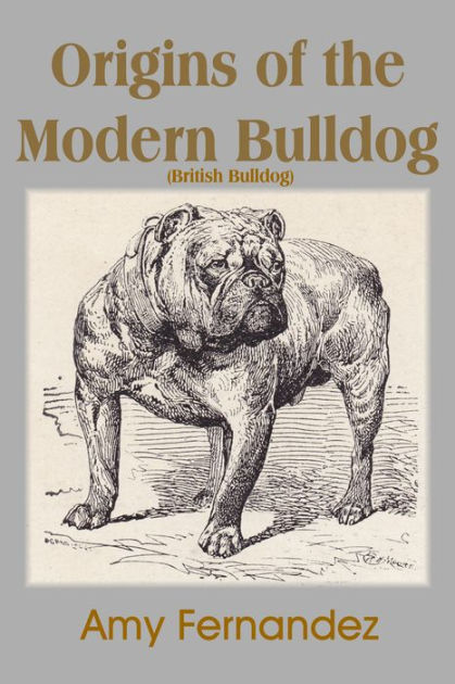 Origins of the Modern Bulldog (British Bulldog) by Amy Fernandez - Main Image