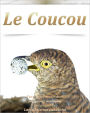 Le Coucou Pure sheet music duet for guitar and tuba arranged by Lars Christian Lundholm