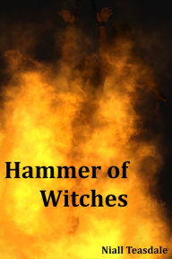 Title: Hammer of Witches, Author: Niall Teasdale
