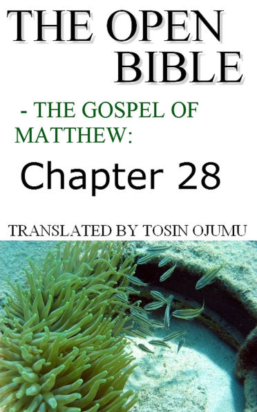 The Open Bible - The Gospel of Matthew: Chapter 28