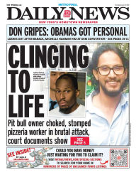 New York Daily News