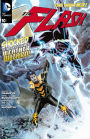 The Flash #10 (2011- )