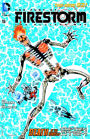 The Fury of Firestorm: The Nuclear Men #15 (2011- ) (NOOK Comics with Zoom View)