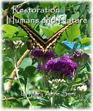 Title: Restoration, Humans and Nature, Author: Mary Anne Smrz