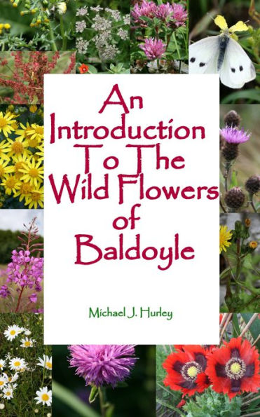 An Introduction To The Wildflowers of Baldoyle