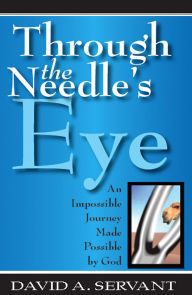 Title: Through The Needles Eye, Author: David Servant