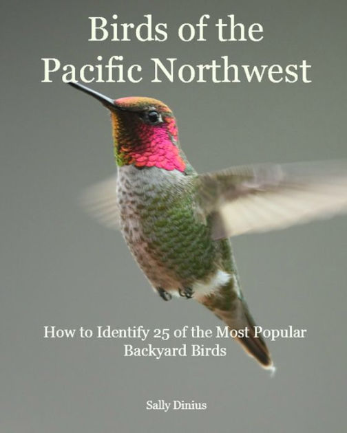 Birds of the Pacific Northwest How to Identify 25 of the