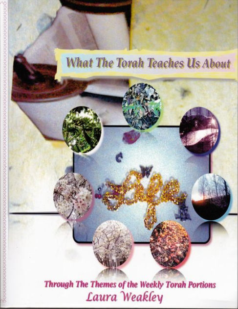 What The Torah Teaches Us About Life Through The Themes Of The Weekly Torah Portions By Laura Weakley Paperback Barnes Noble What The Torah Teaches Us About Life Through The Themes Of The Weekly Torah Portions By Laura Weakley Paperback Barnes Noble