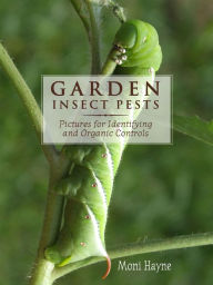 Title: Garden Insect Pests of North America - Pictures for Identifying and Organic Controls, Author: Moni Hayne