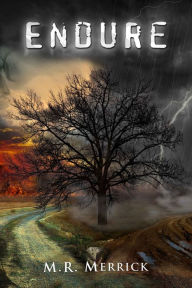 Title: Endure (The Protector Book 4), Author: M.R. Merrick