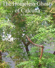 Title: The Homeless Ghosts of Calcutta, A Collection., Author: S. Fulton Bell