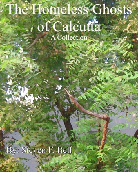 The Homeless Ghosts of Calcutta, A Collection.