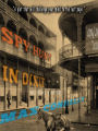 Spy Hunt in Dixie: Civil War Historical Fiction