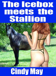 The Icebox Meets The Stallion