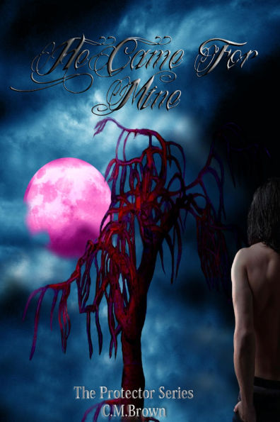 He Came For Mine, Book Two in 'The Protector Series' (The Protectors, #2)