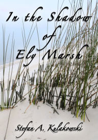 In the Shadow of Ely Marsh