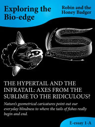 Title: The Hypertail And The Infratail: Axes From The Sublime To The Ridiculous?, Author: Robin and the Honey Badger